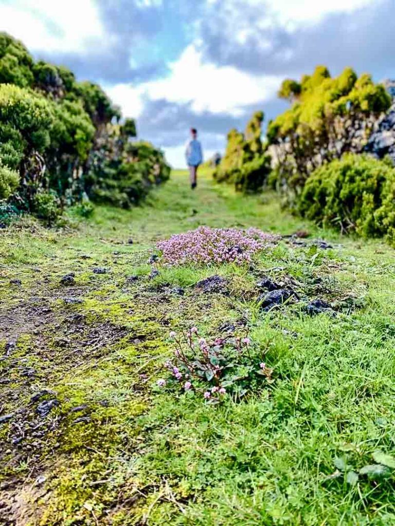 rocha do chambre wanderung terceira azoren portugal 2 Rocha do Chambre Wanderung Terceira Azoren Portugal
