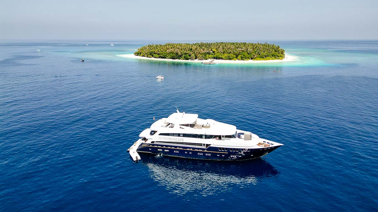 Tauchsafari Malediven