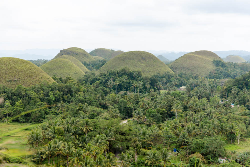 philippinen bohol chocolate hills Philippinen Bohol, Chocolate Hills