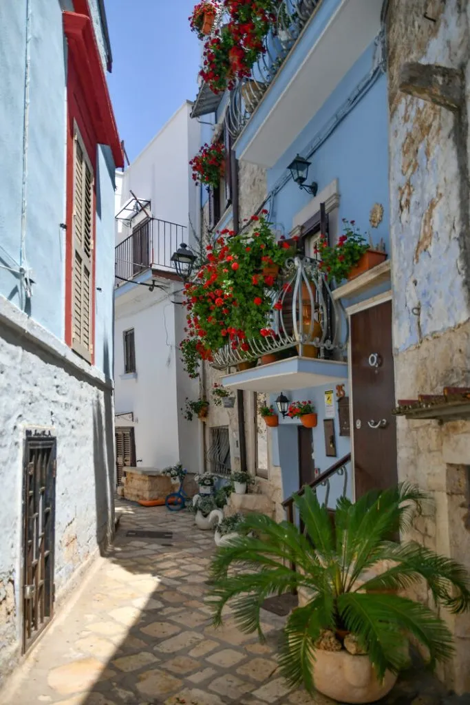 apulien casamassima blaue strasse in casamassima Apulien_Casamassima_Blaue Straße in Casamassima