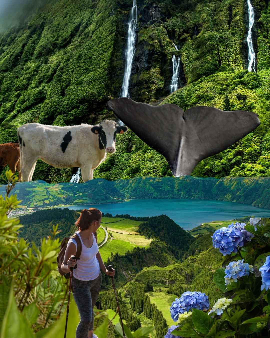 azoren reiseberatung urlaub planen lassen azoren reiseberatung urlaub planen lassen