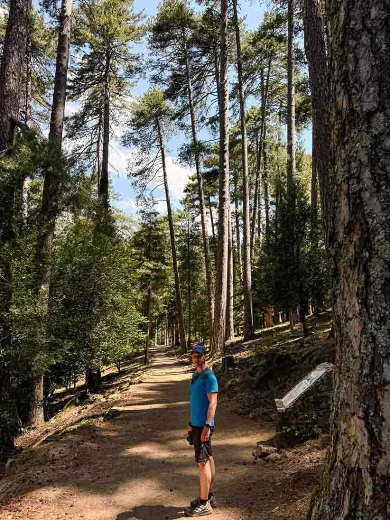 korsika corte neu Spaziergang durch Pinienwald zum Wasserfall, Porto Ota Korsika