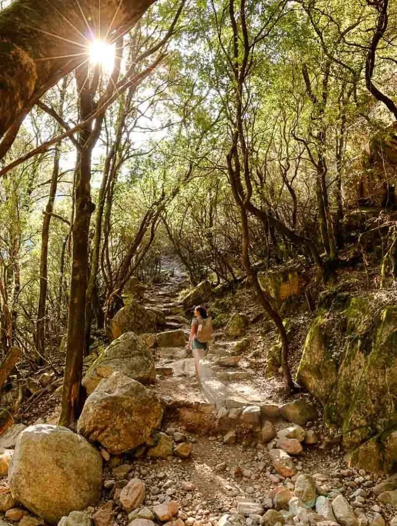 korsika corte restorica 44 von 173 neu schattiger Wanderweg am Fluss entlang, Porto Ota Korsika