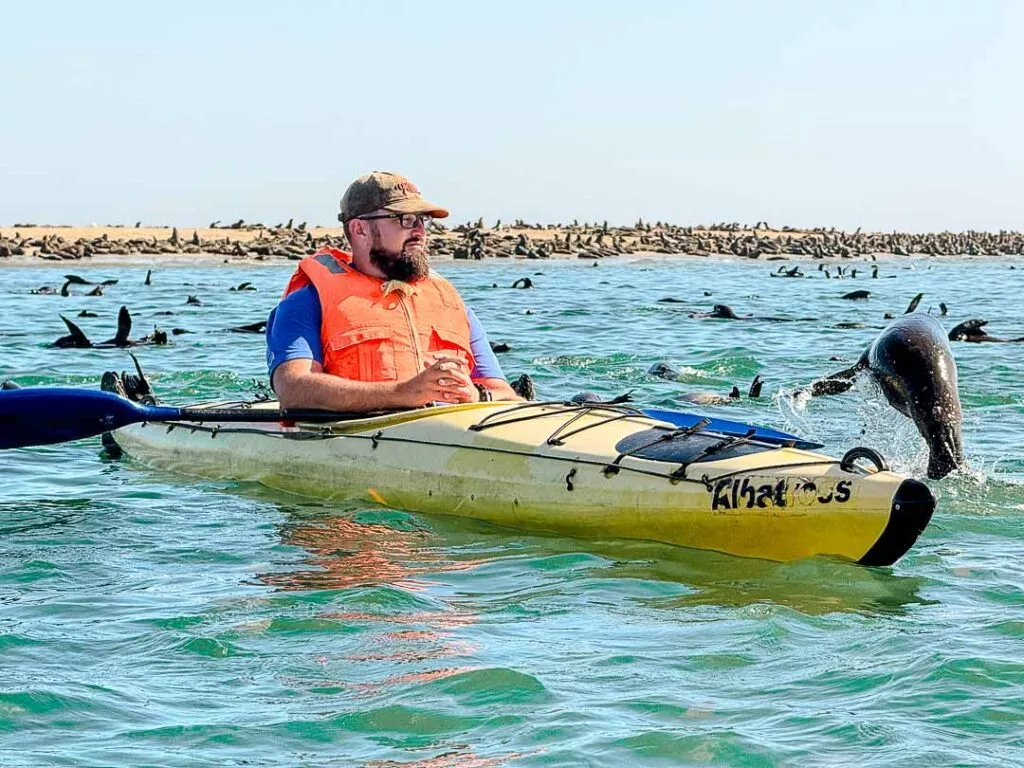 kajaktour beim pelican point in walvis bay namibia
