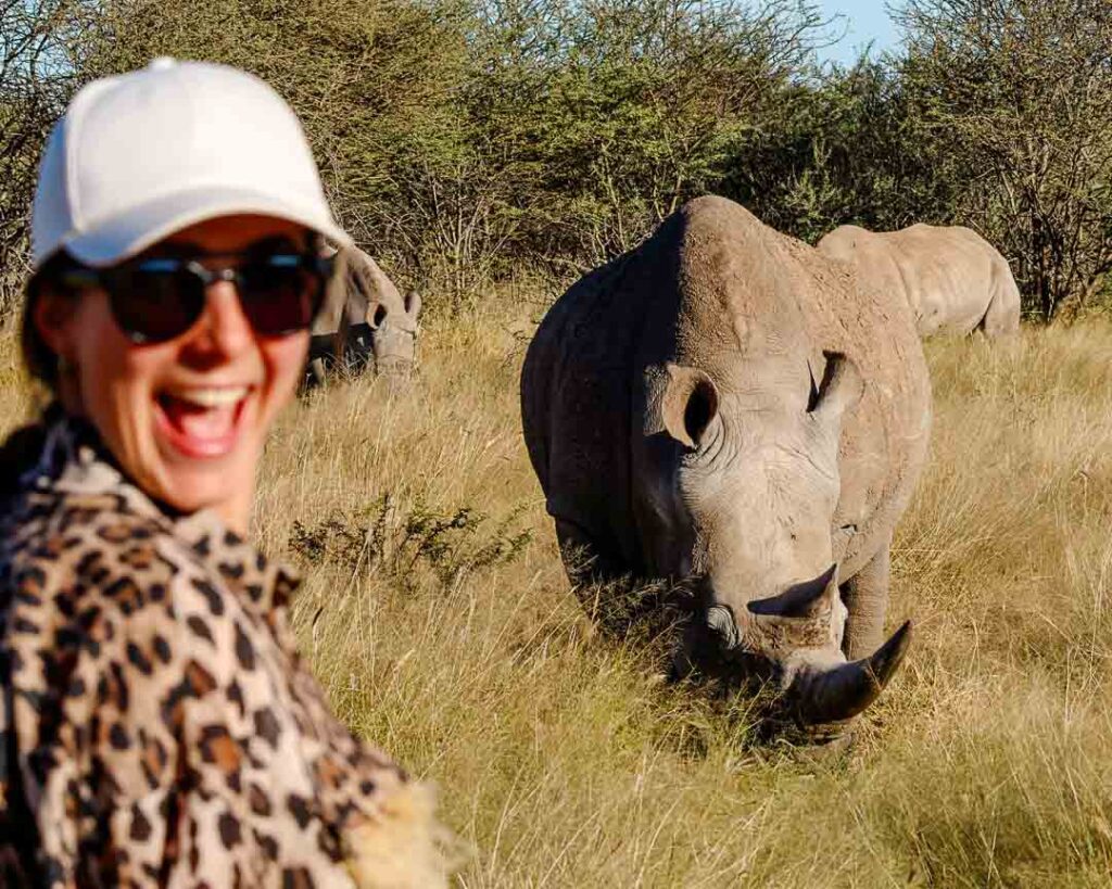 nashoerner bei waterberg namibia