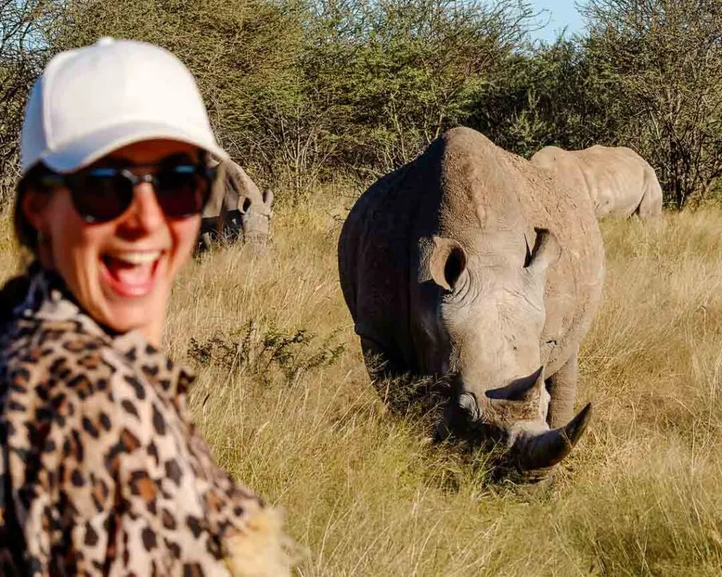 nashoerner bei waterberg namibia