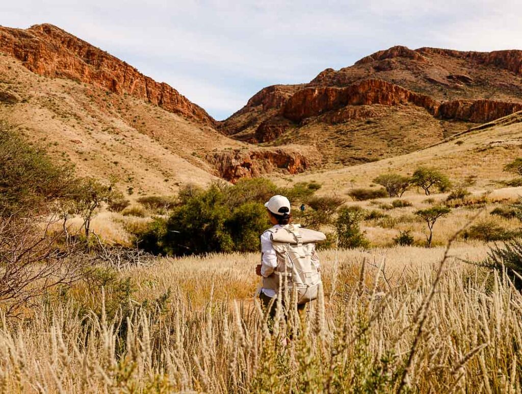 naukluft mountain zebra park in namibia ist ein geheimtipp