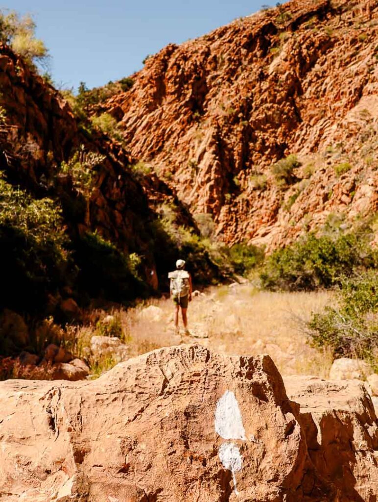 olive trail im naukluft mountain zebra park in namibia 2