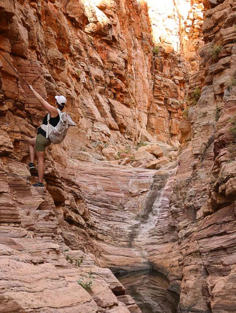 olive trail im naukluft mountain zebra park in namibia 3