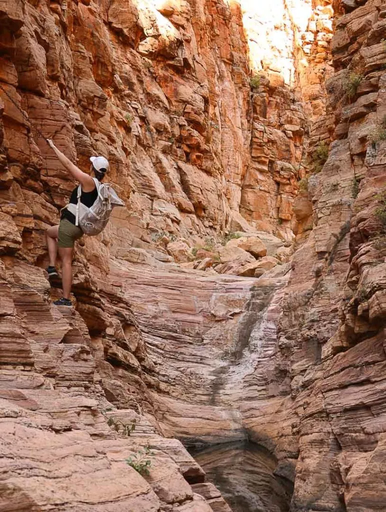 olive trail im naukluft mountain zebra park in namibia 3