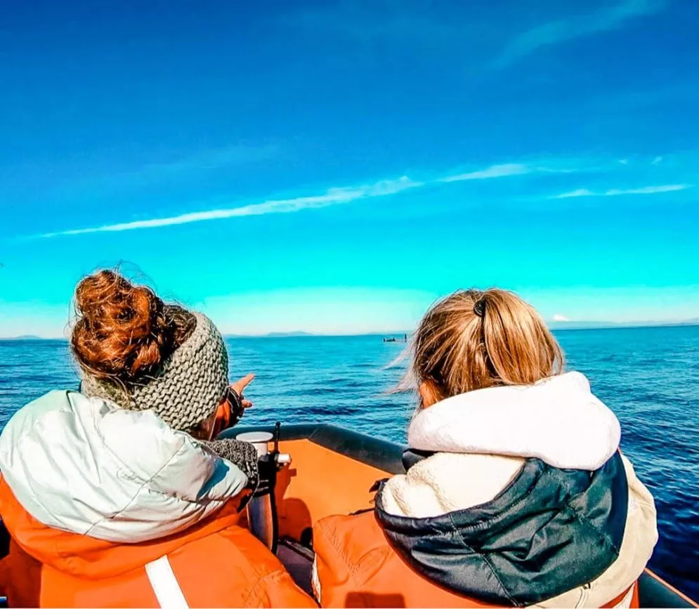 Kanada Whale Watching Vancouver Island