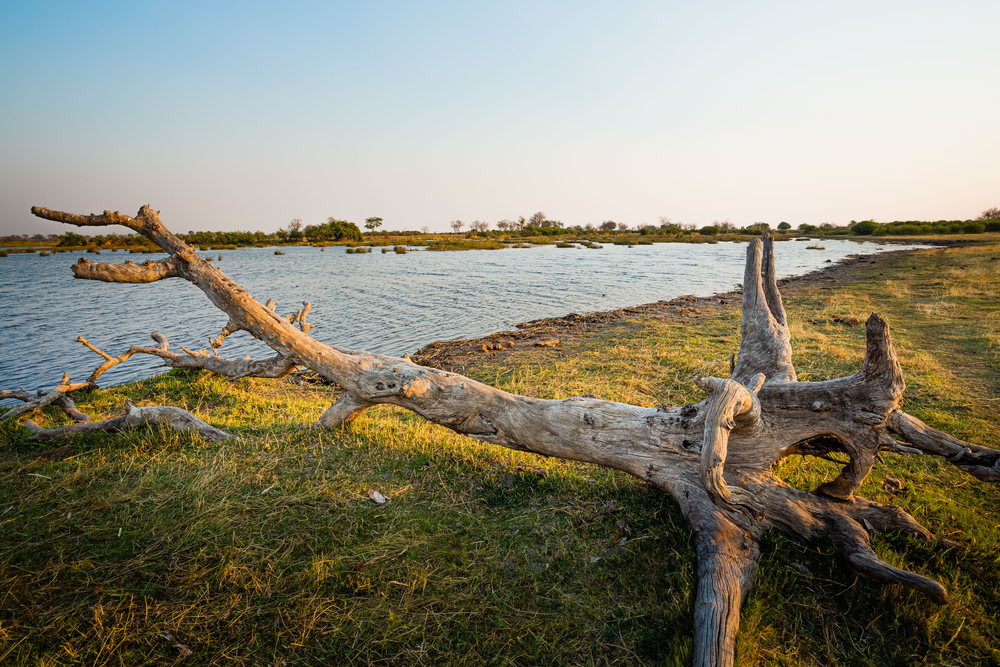Bwabwata National Park Kwando Core Area Namibia